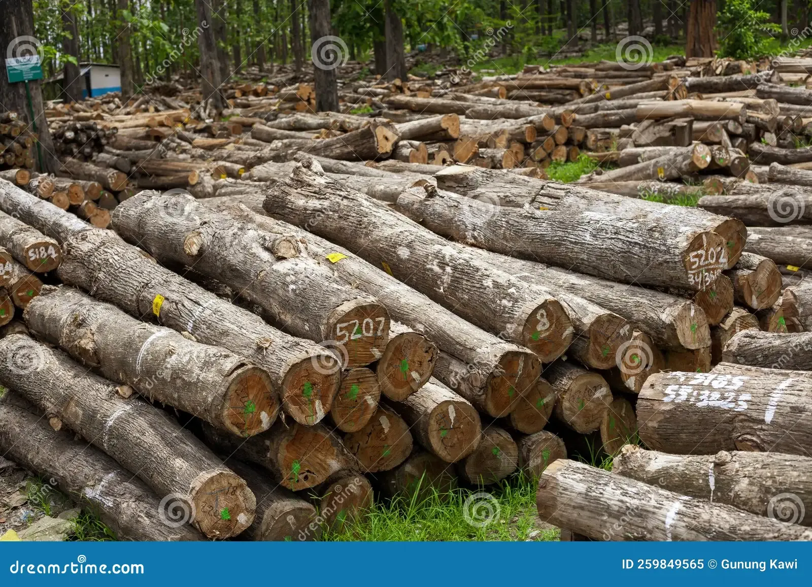 Differences Between Indonesian and American Teak Manufacturers
