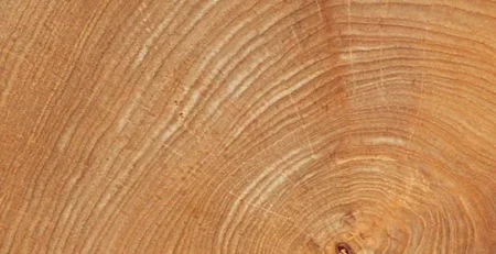 Why Teak Outdoor Furniture Manufacturers Use Grade A Teak Wood