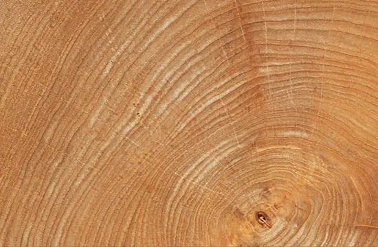 Why Teak Outdoor Furniture Manufacturers Use Grade A Teak Wood